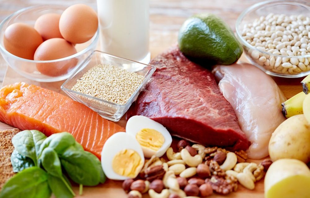 What are Examples of Protein Foods?