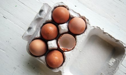Protein Egg – How Much Protein in an Egg?