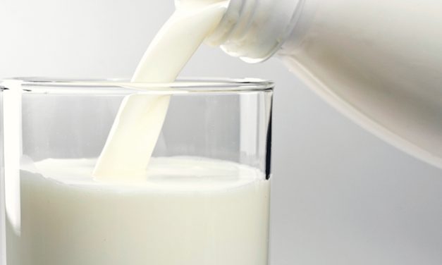 Protein in Milk – Sources and High Quality Protein Milk Products