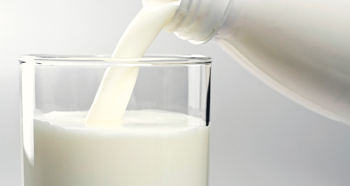 Protein in Milk – Sources and High Quality Protein Milk Products