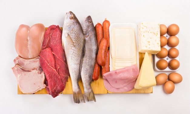 Protein Meat – THE 10 Lean Protein Foods You Should Eat