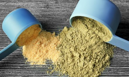 Protein Vegan Powder – The Best Vegan Protein Powders